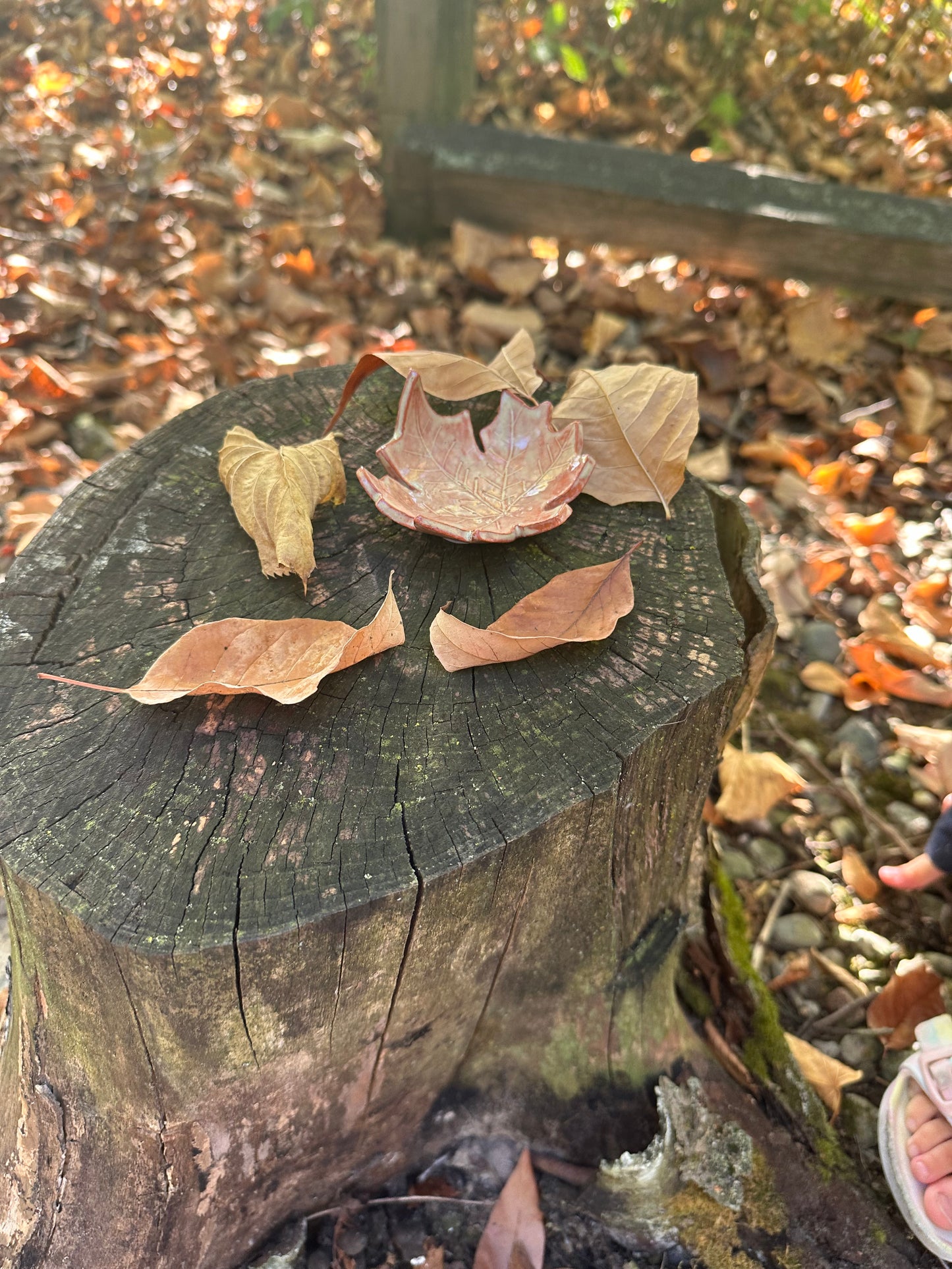 Leaf Dish