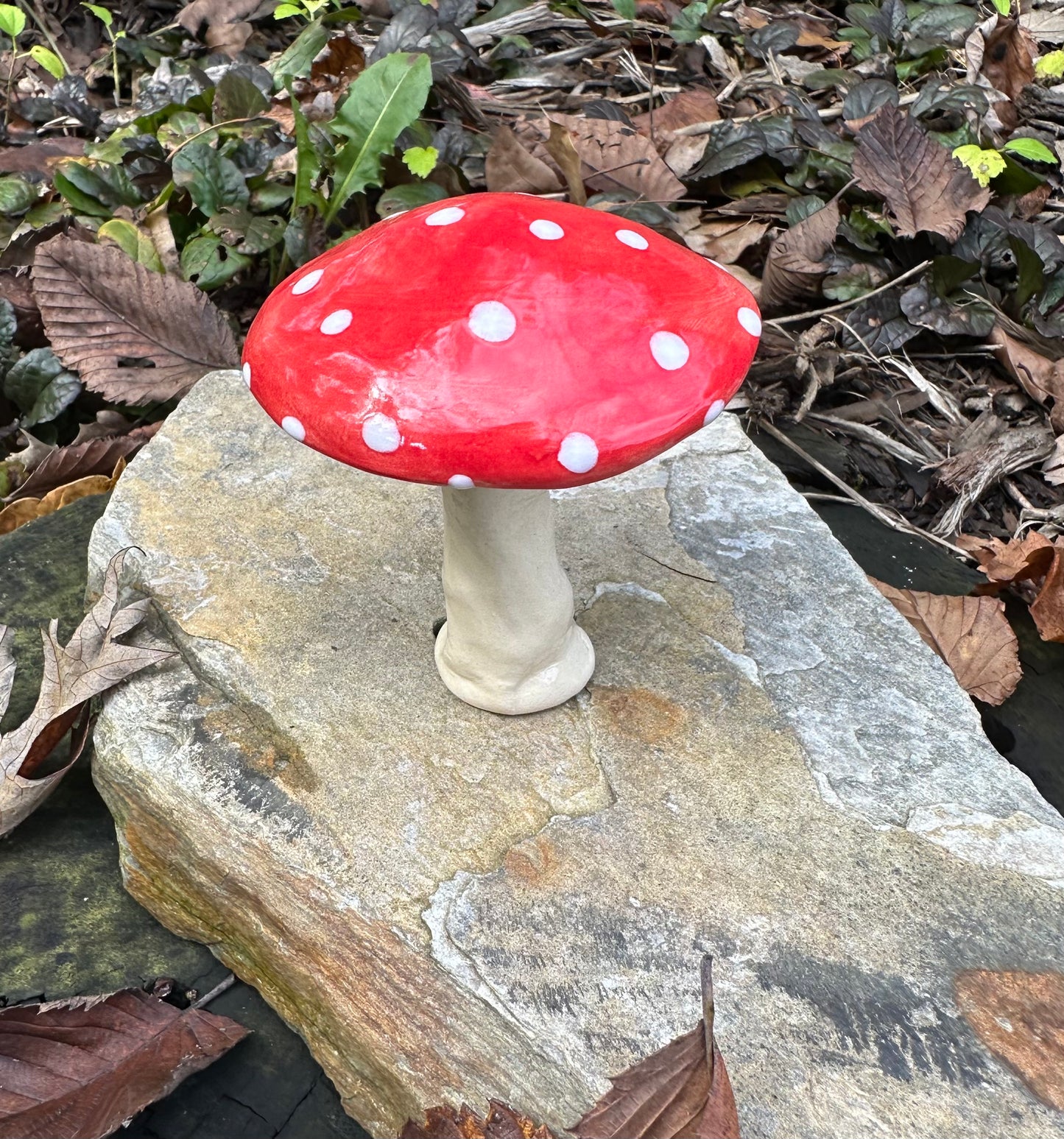 Small Plant Mushroom