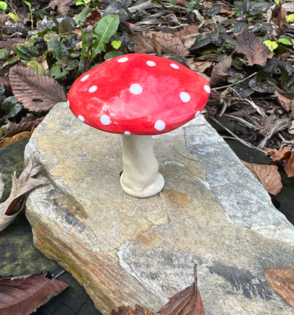 Large Plant Mushroom