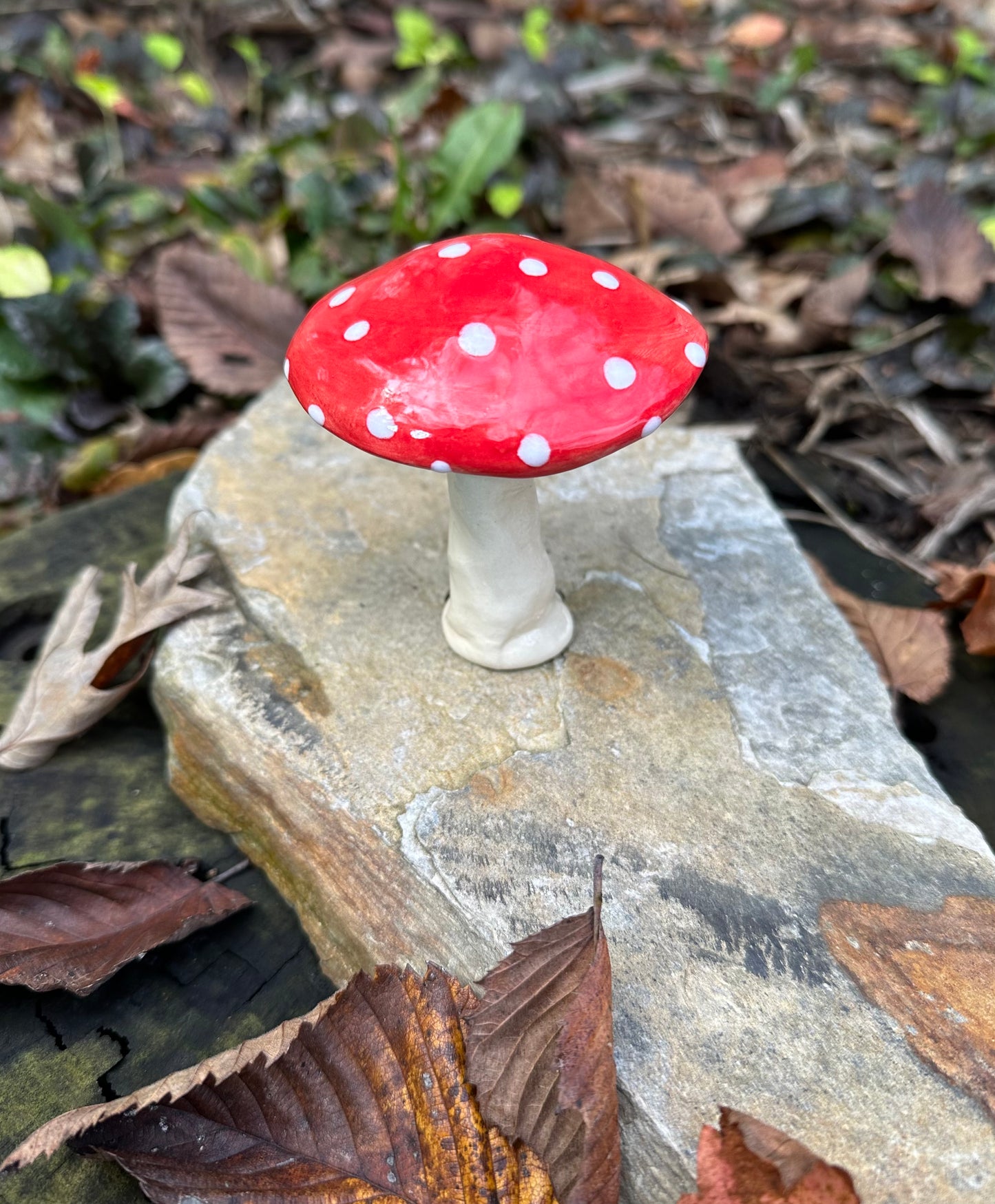 Small Plant Mushroom