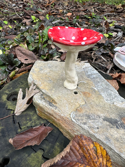 Large Plant Mushroom