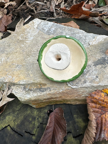 Small Plant Mushroom